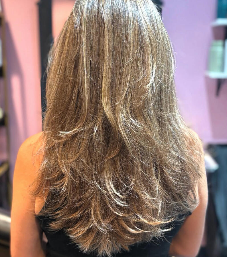 Blonde Highlights
